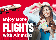 Air India More Flight