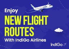 IndiGo Airlines